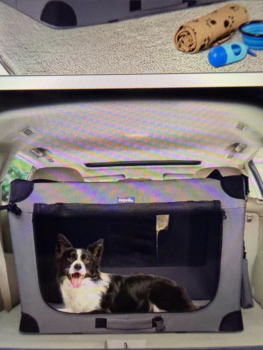 Portable /collapsable dog travel crate for medium- large dog. NWOT - Picture 5 of 10